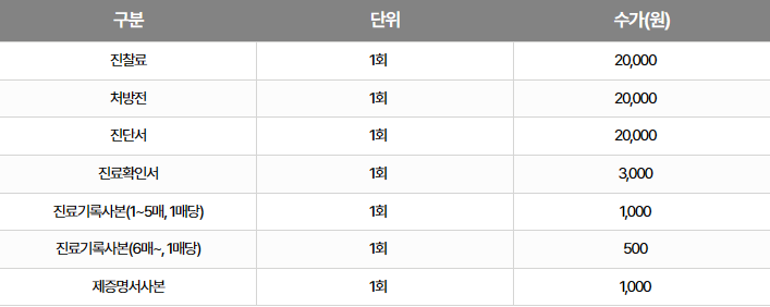 비급여수가표 예시